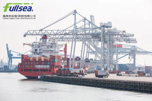 貨代人如何打造專業人設 打造信任與價值的貨運代理形象